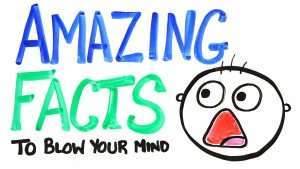 fun-facts